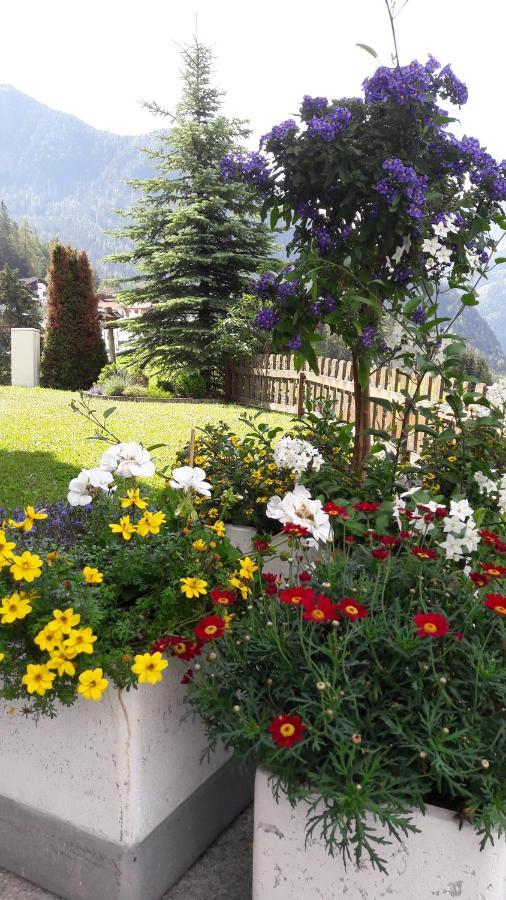 Bed and Breakfast Haus Edelweiss Jerzens Exterior foto