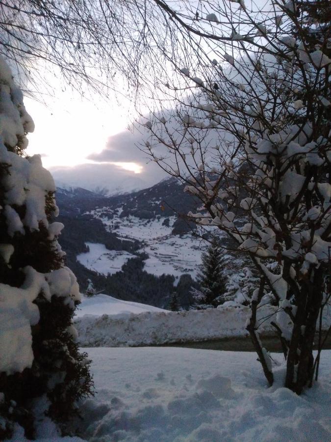 Bed and Breakfast Haus Edelweiss Jerzens Exterior foto